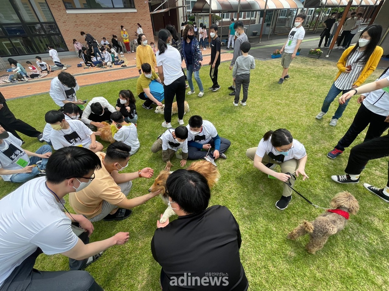 안동영명학교 '2022년 동물매개 교감 체험 프로그램‘. © 안동인터넷뉴스 무단전재 및 재배포 금지
