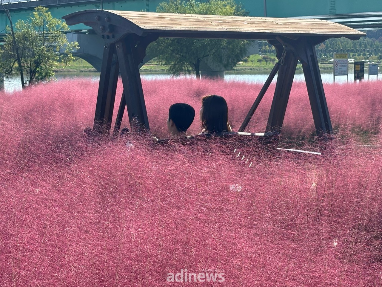 꽃물결 이미지